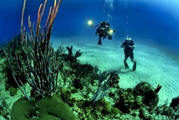  Тур дайвинг Пхукет - Изысканная подводная красота побережья 
